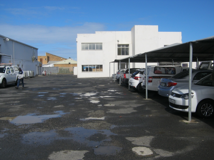 To Let commercial Property for Rent in George Park Western Cape